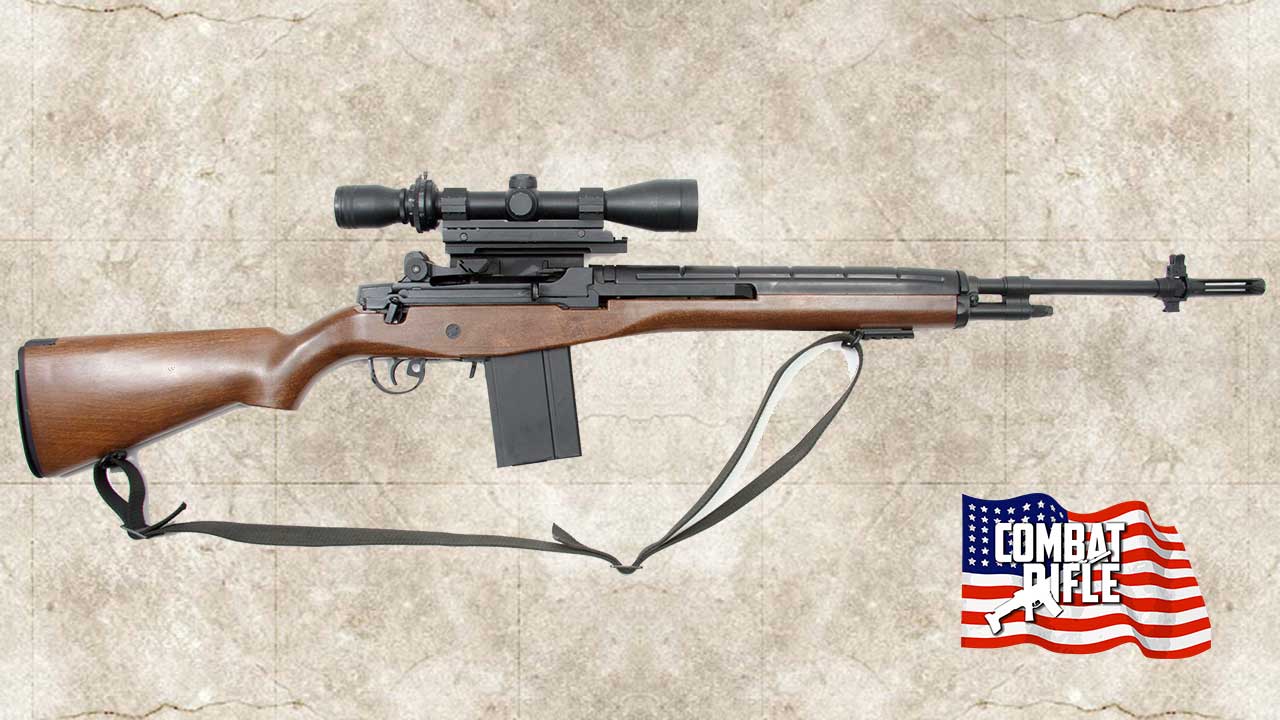 Picture of the M14 Based M21 Sniper Weapon System